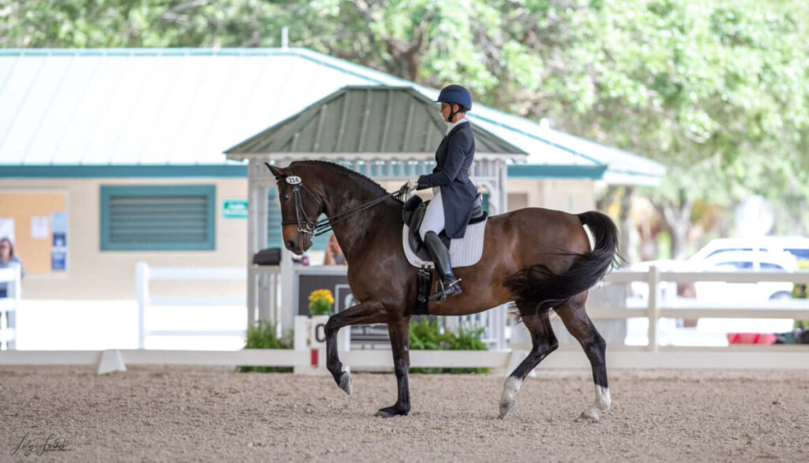 2022 Shows Wellington Classic Dressage 2022 Shows Wellington Classic Dressage