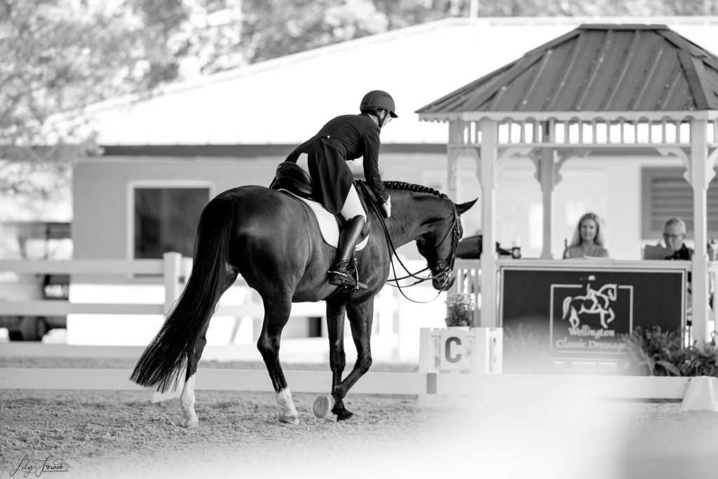 ocala-summer-fun-i-wellington-classic-dressage
